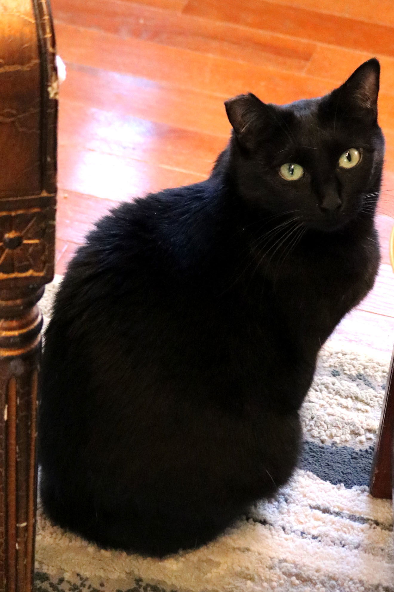 Cole(Coal)