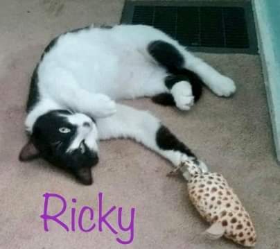 Ricky 2