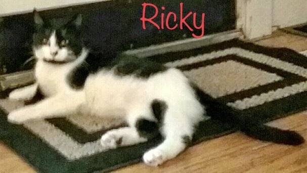 Ricky 3