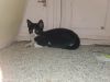 Buddy photo 1