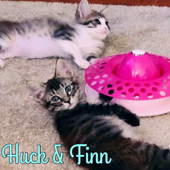 Huck & Finn