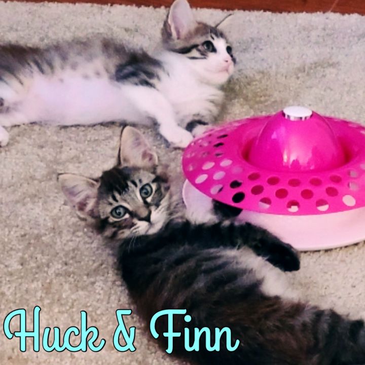 Huck & Finn 1