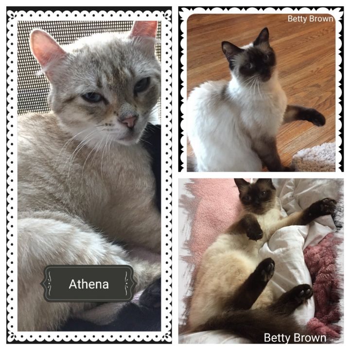 Athena & Betty Brown 1