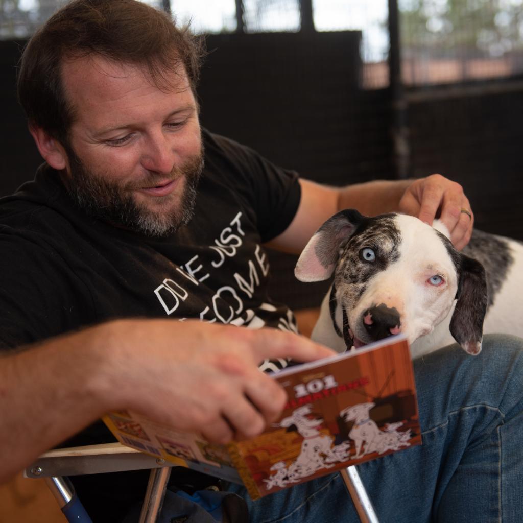 Frankie, an adoptable Catahoula Leopard Dog in Kanab, UT, 84741 | Photo Image 5