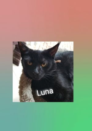 Luna