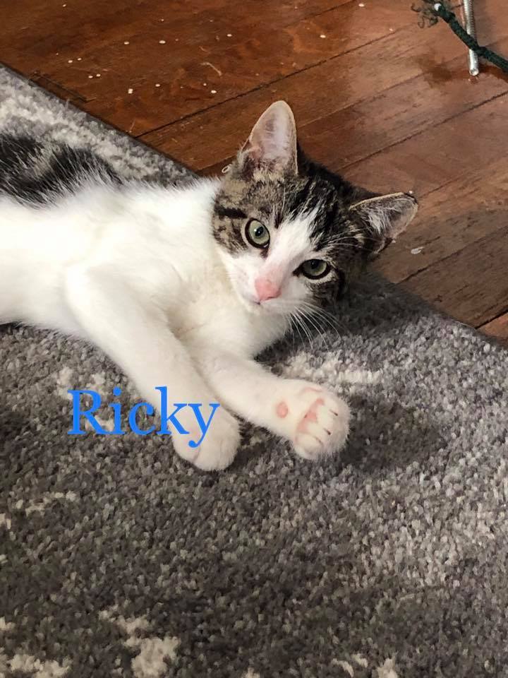 Ricky and Lucy 6