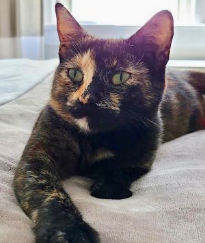 . Sasha .