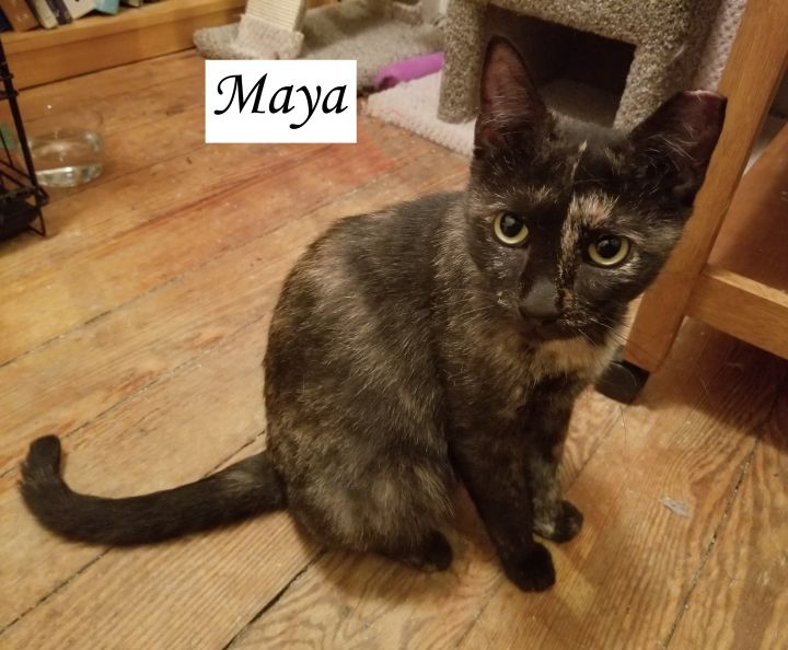 Maya and Mira 4
