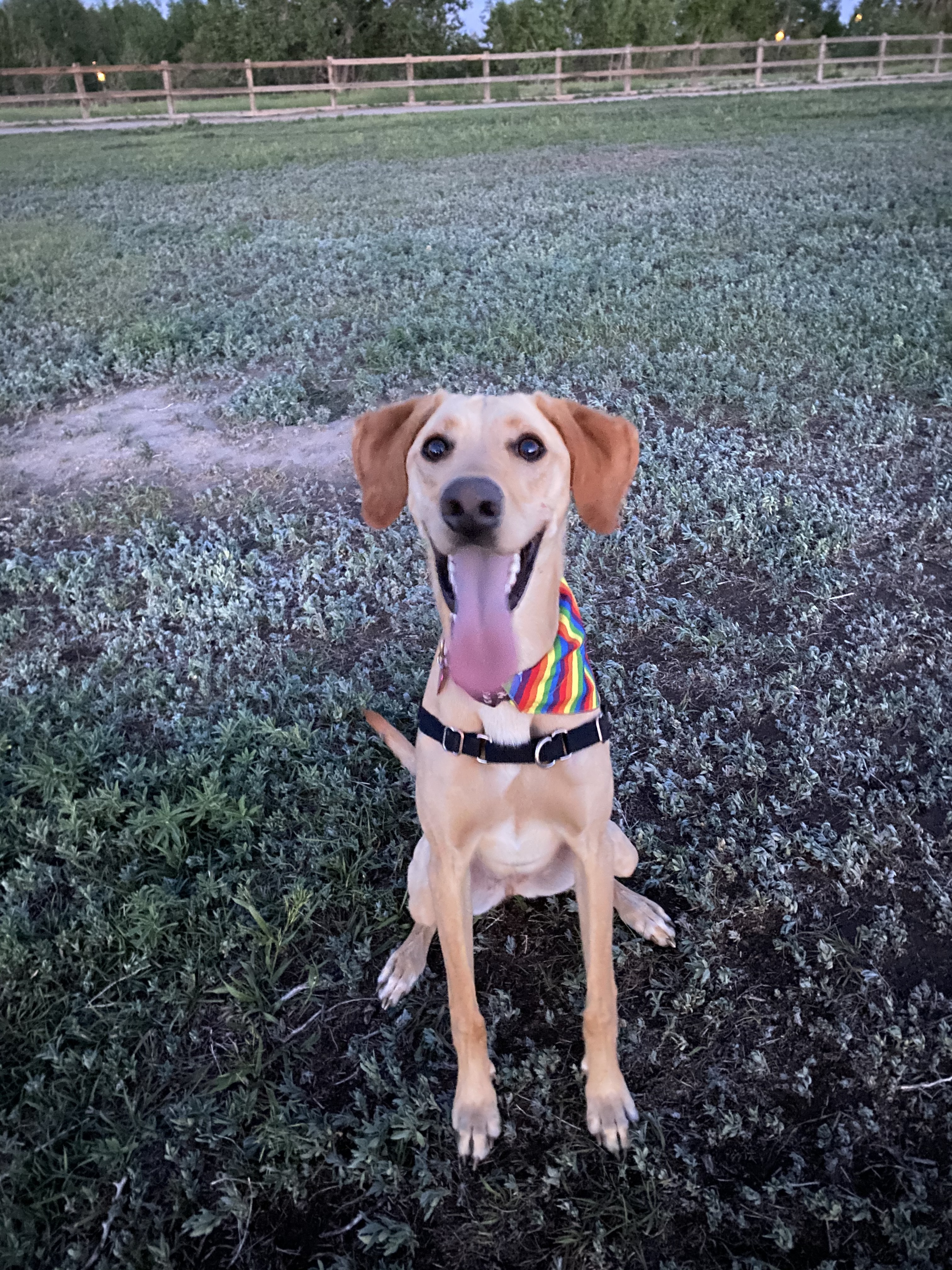 Winnie
