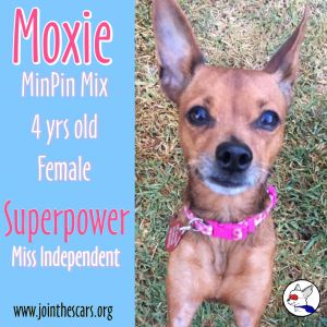 Moxie