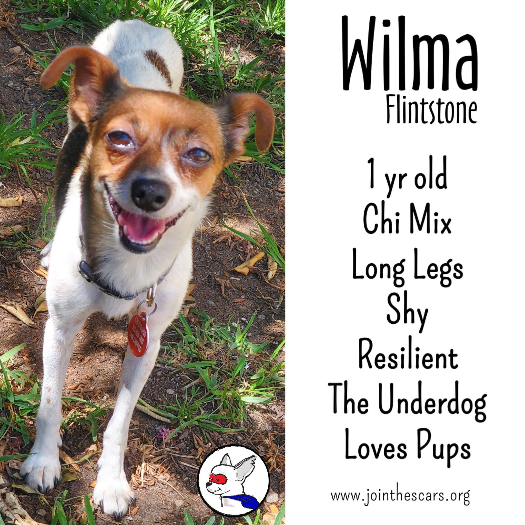 Wilma Flintstone detail page