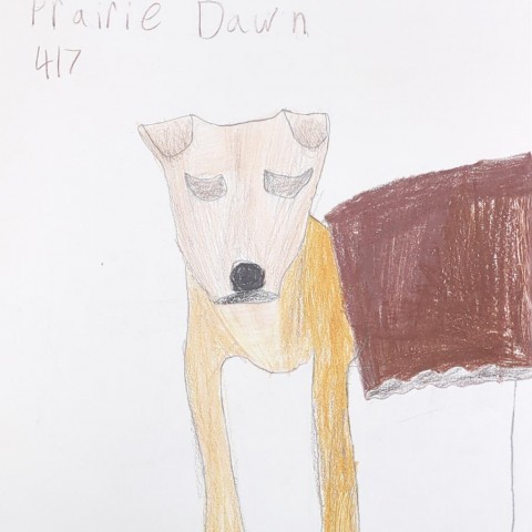 Prairie Dawn, an adoptable Shepherd in Kanab, UT, 84741 | Photo Image 5