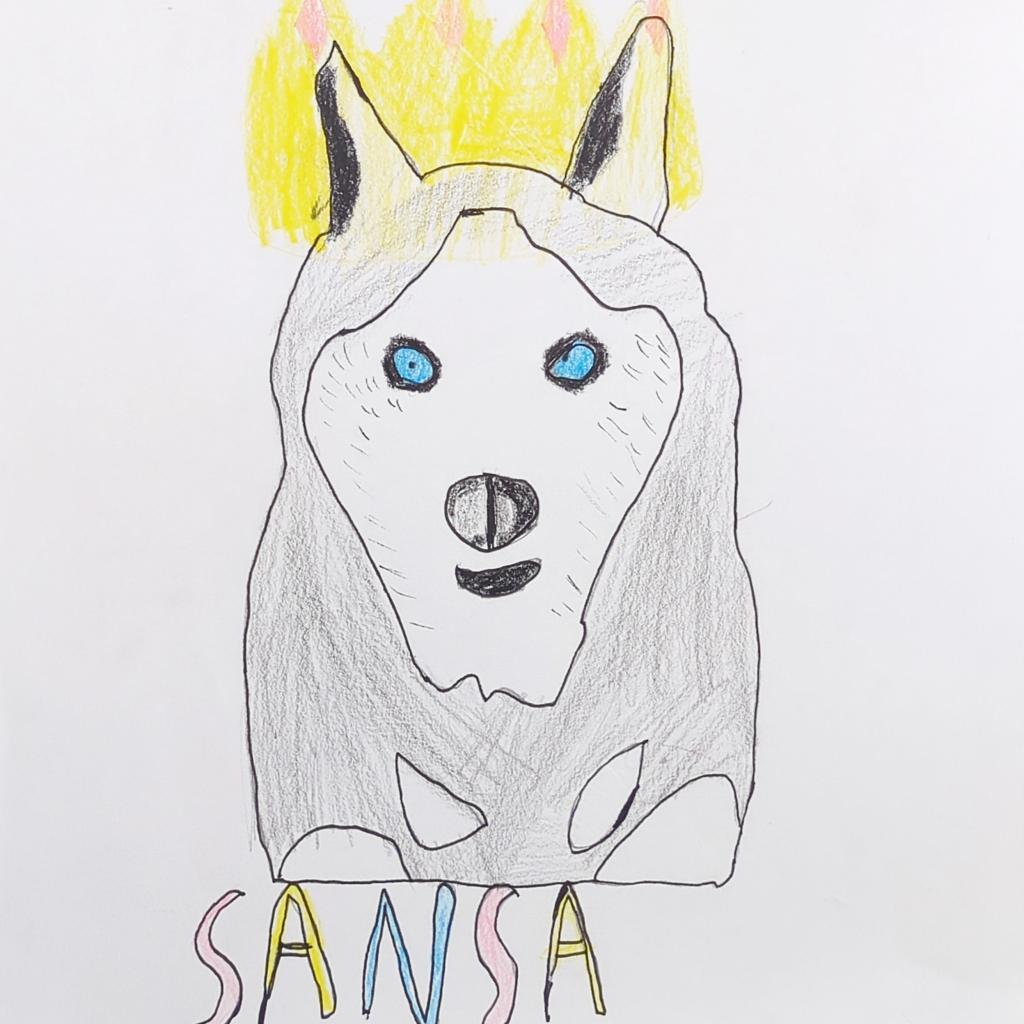 Sansa, an adoptable Siberian Husky in Kanab, UT, 84741 | Photo Image 2