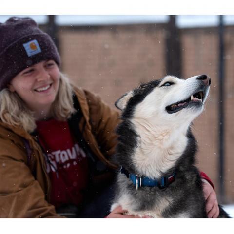 Sansa, an adoptable Siberian Husky in Kanab, UT, 84741 | Photo Image 5