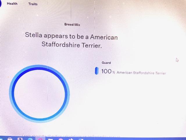 Stella 6