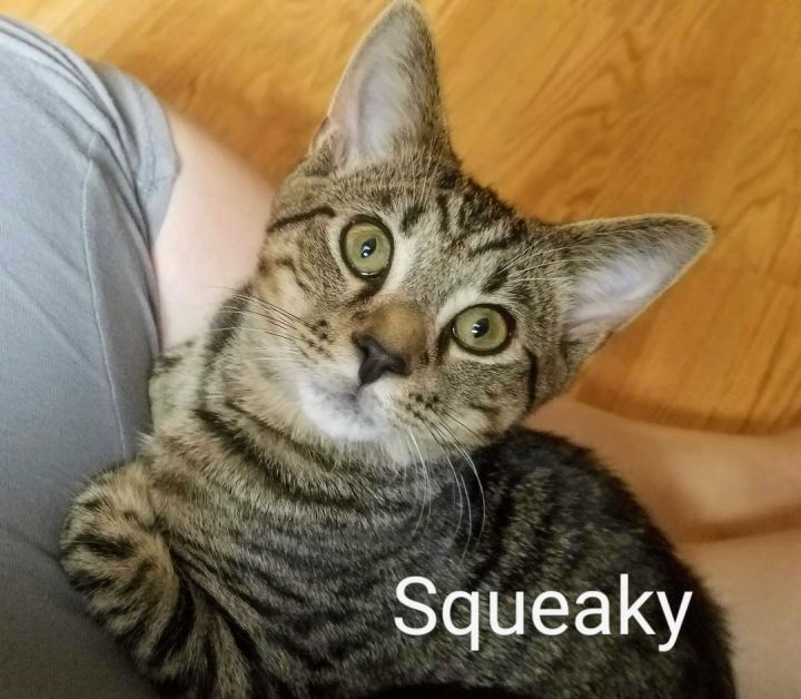 Squeaky 2