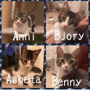 Agneta, Benny, Bjory and Anni  (ABBA)