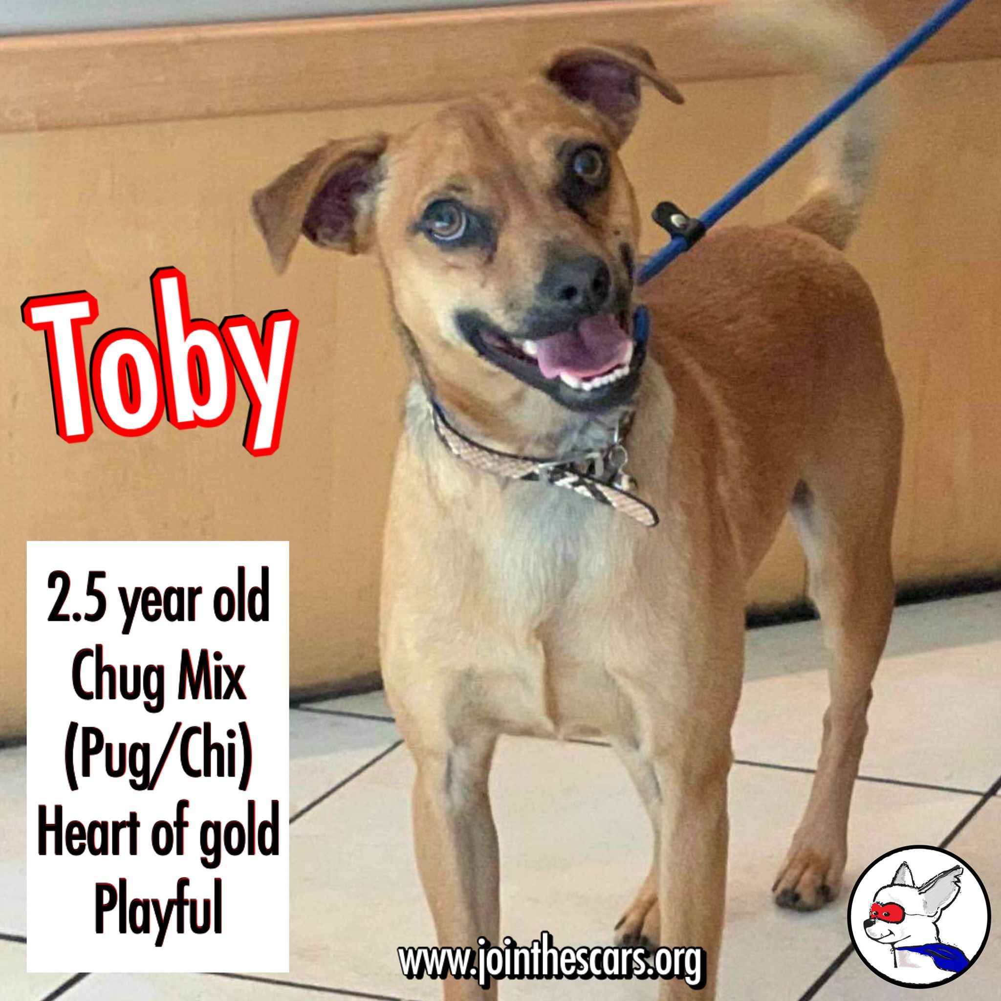 Toby detail page