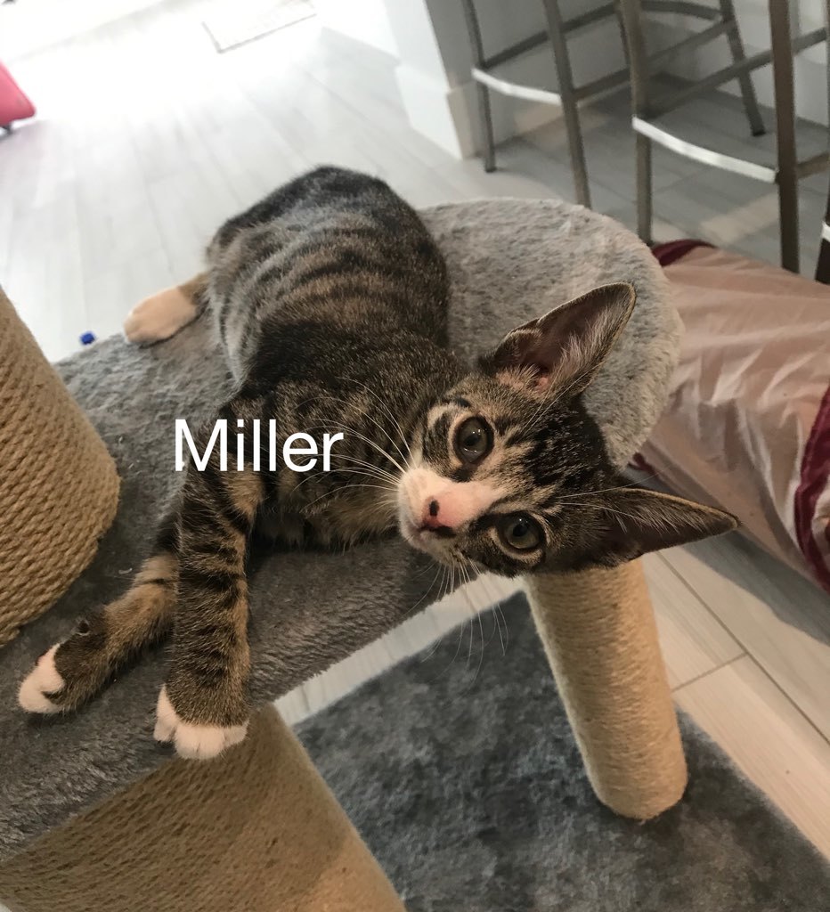 Miller detail page