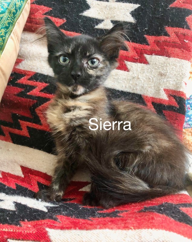 Sierra 1