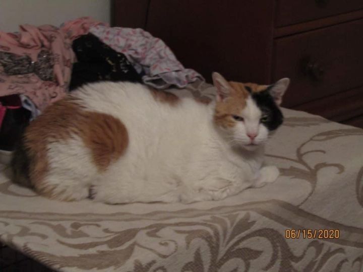 Cleo 2