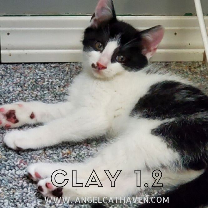 Clay 1.2