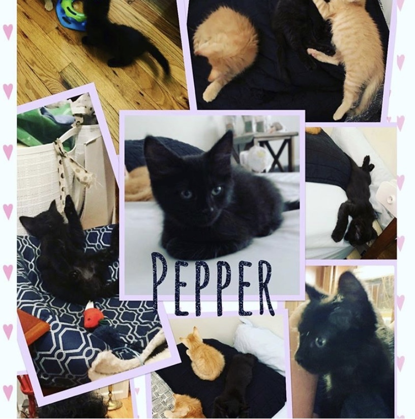 Pepper detail page
