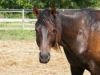Cinch photo 1