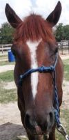 Jarad photo 1