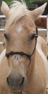 Barney photo 1
