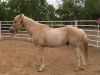 Barney photo 2