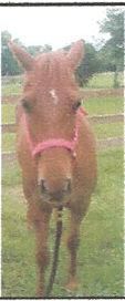 Amee, Adult Female unknown