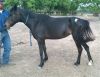 Flicka photo 2