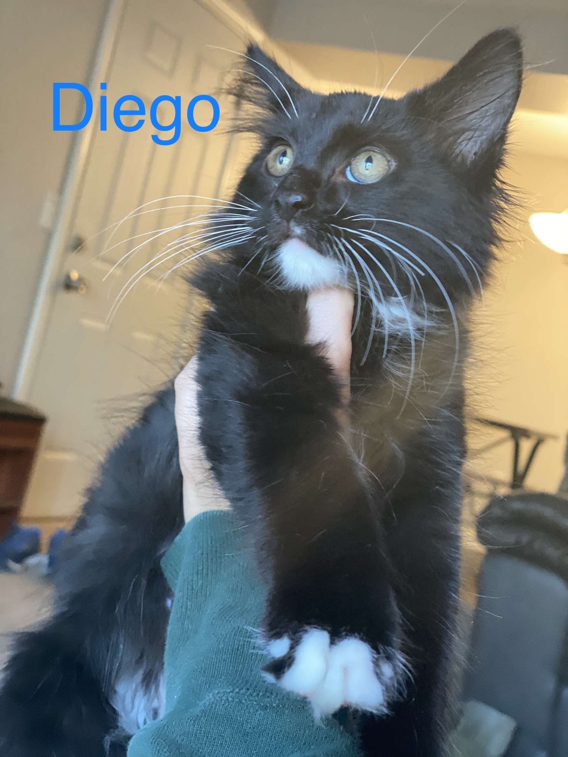 Diego detail page