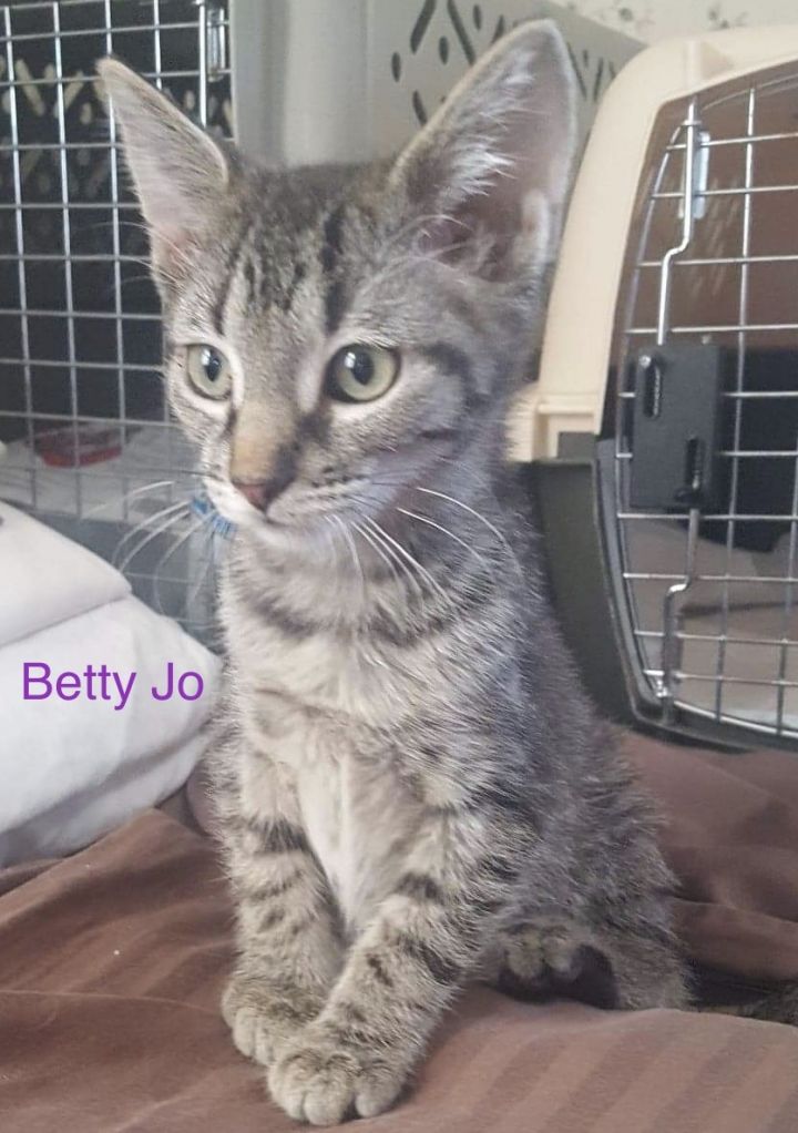 Betty Jo 1
