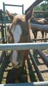 Jolene photo 1