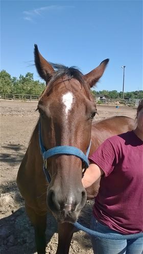 Pocahantas, Adult Female unknown