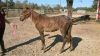 Macie photo 2