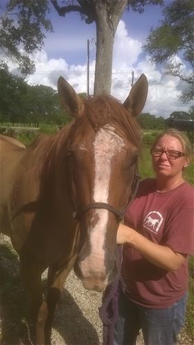 Brooks, Adult Male unknown