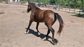 Kibo 2