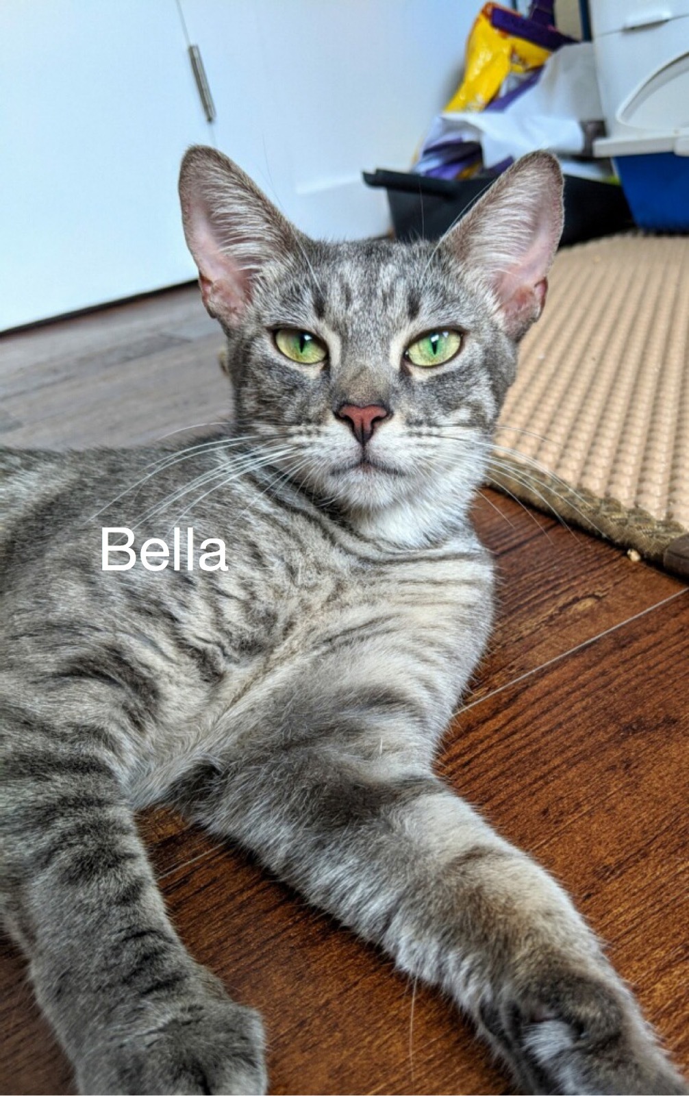 Bella detail page
