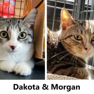 Dakota and Morgan