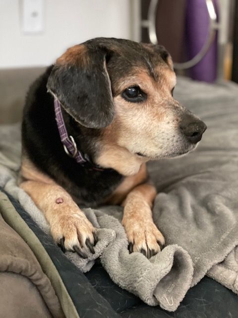 Delilah 6