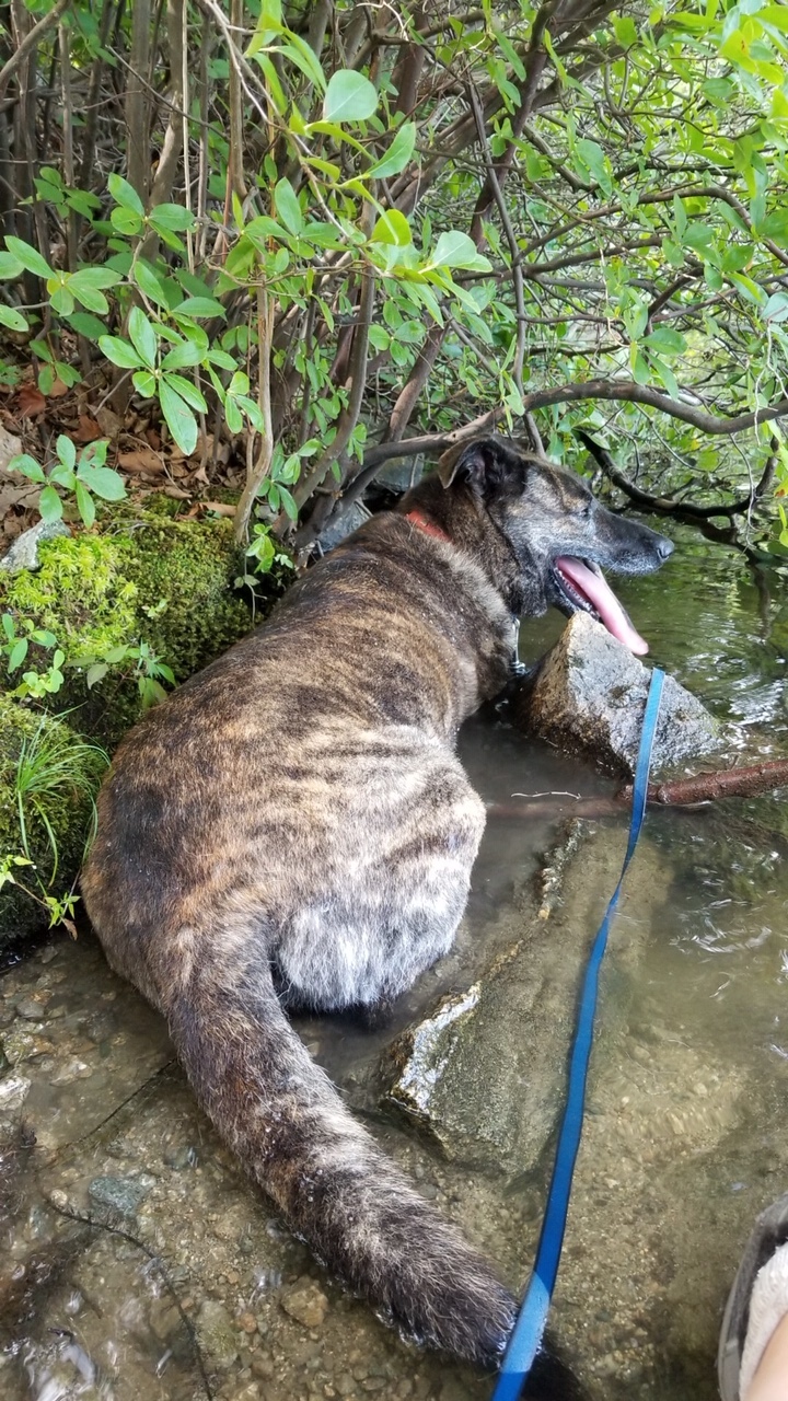 Lucy's Hiking adventure 3