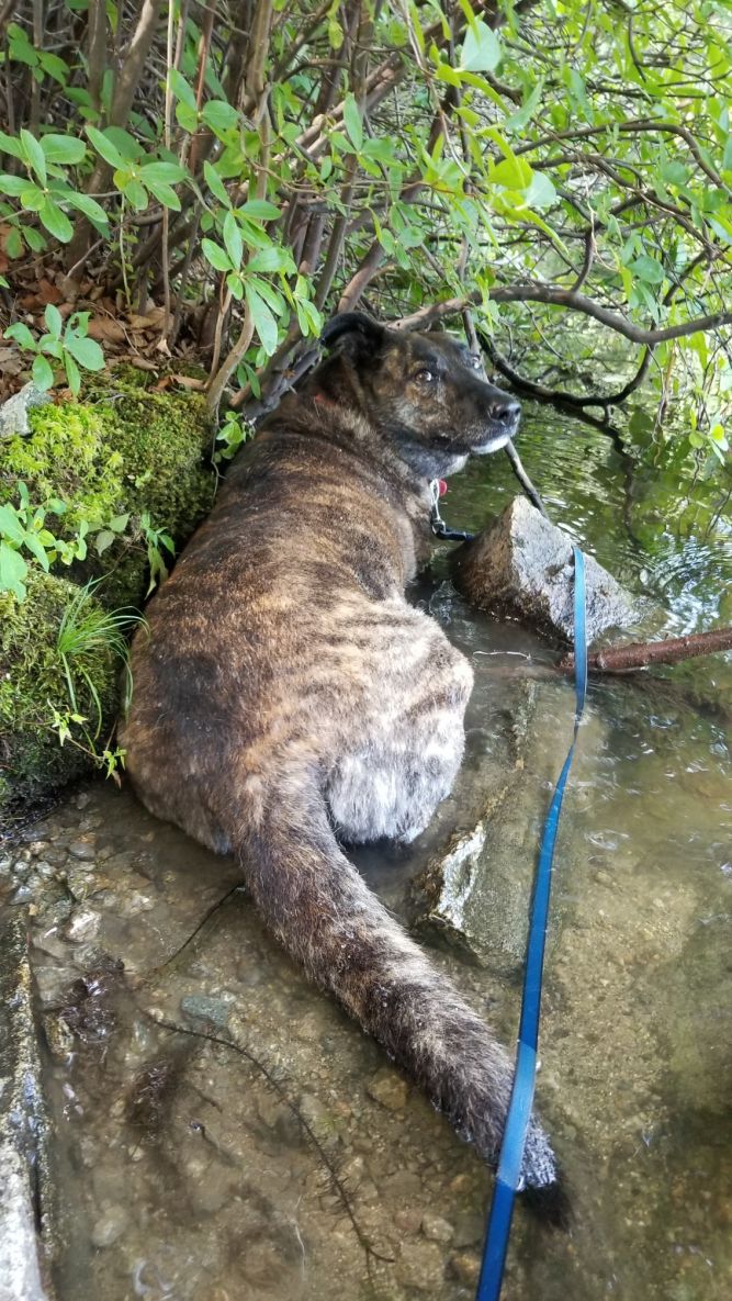 Lucy's Hiking adventure