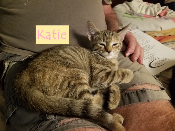 Katie (Tammy's foster) 1