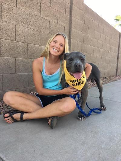 Bruce, an adoptable Terrier & Staffordshire Bull Terrier Mix in Phoenix, AZ_image-6