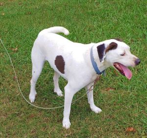 Walker Texas Ranger 4 years, Sweet, HW negative