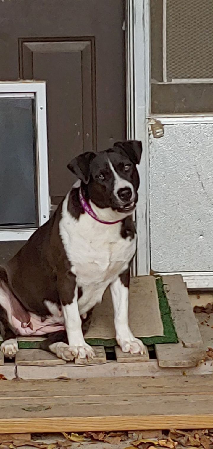 Lizzy - 5 years 1