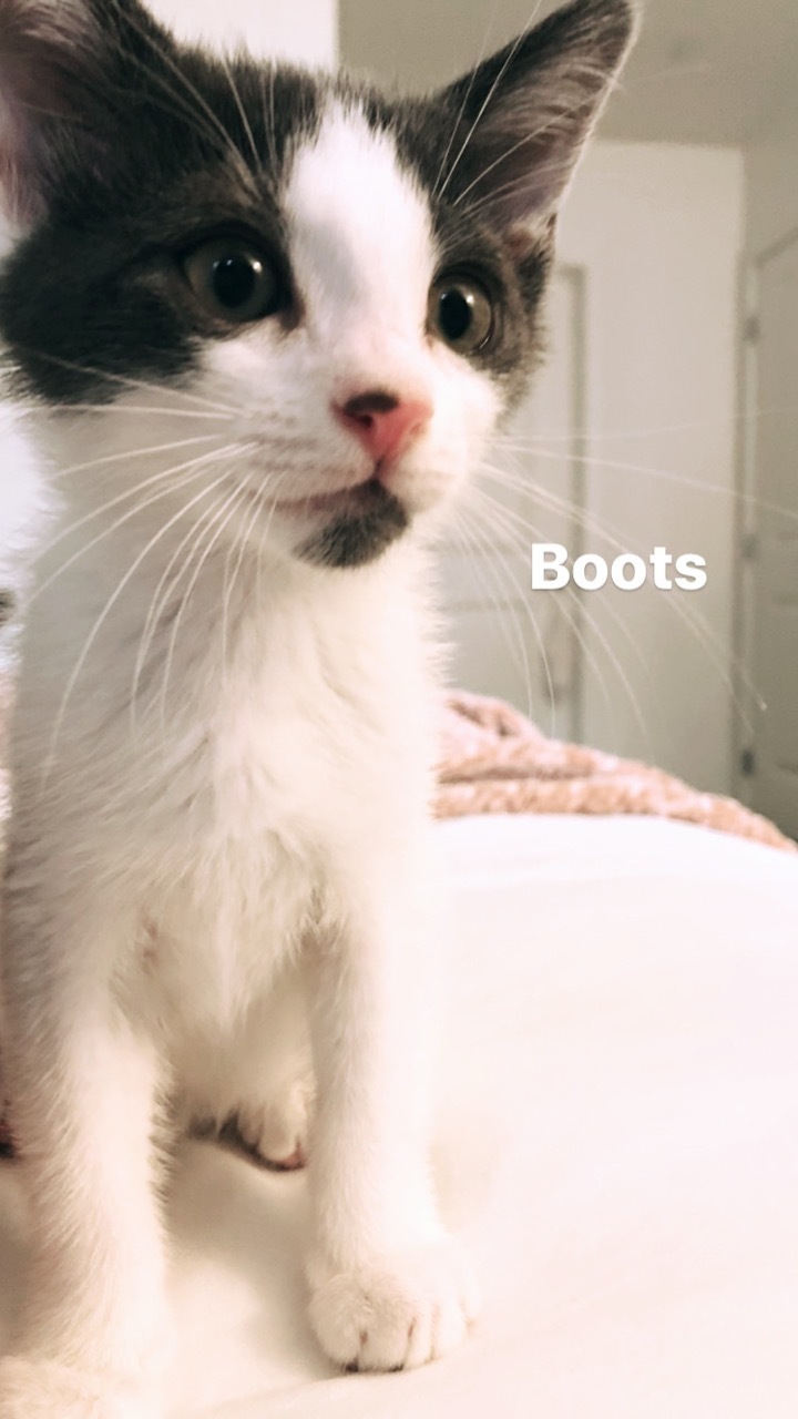 Boots 1